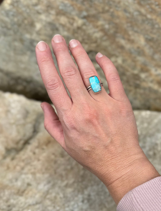 Blue Bird Turquoise Ring - Size 6 1/2