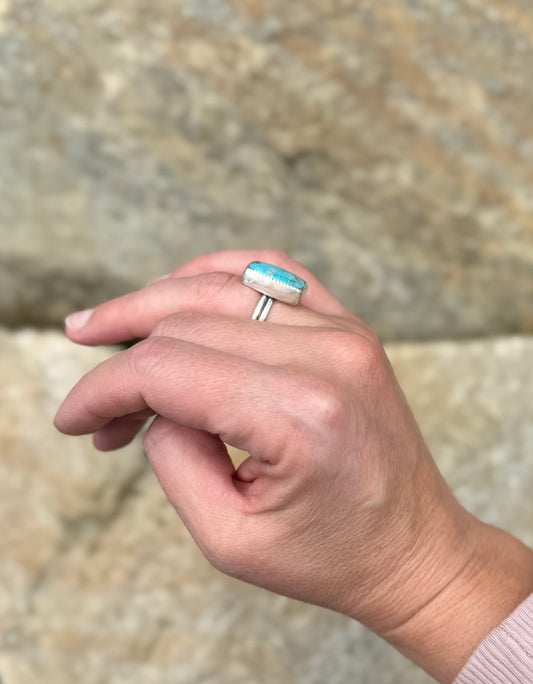 Blue Bird Turquoise Ring - Size 6 1/2